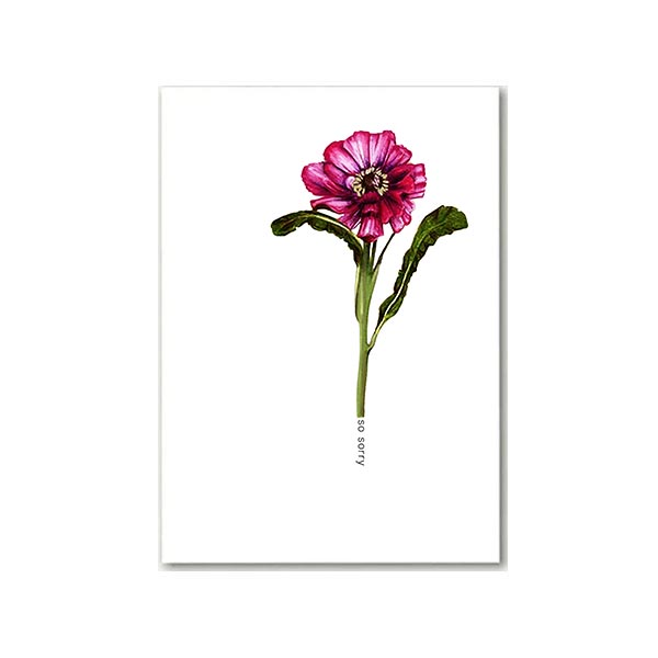 So Sorry Greeting Card with a flower